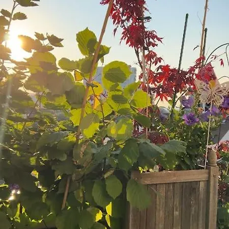 아파트 Les Jardins De Babylone De A 14 Min De Paris 베종