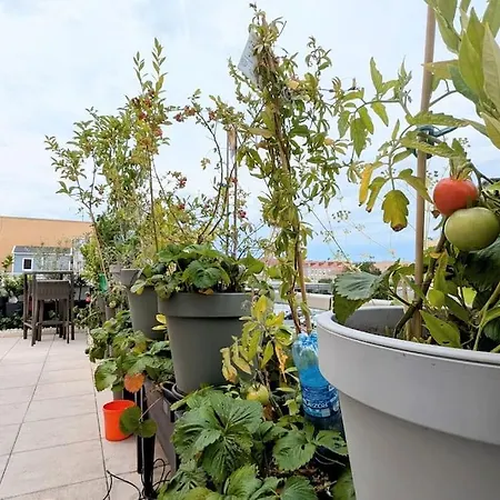 아파트 Les Jardins De Babylone De A 14 Min De Paris *