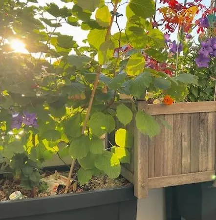 Les Jardins De Babylone De A 14 Min De Paris 아파트