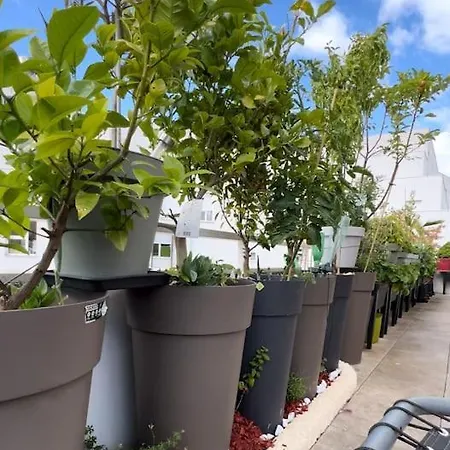 아파트 Les Jardins De Babylone De A 14 Min De Paris 베종